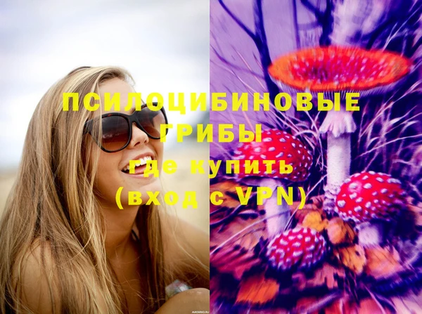 круглые Алексеевка