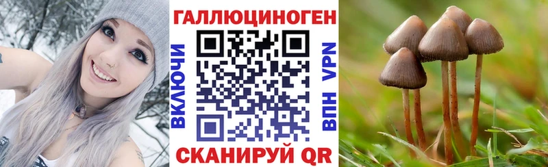 где можно купить   Джанкой  Галлюциногенные грибы Cubensis 